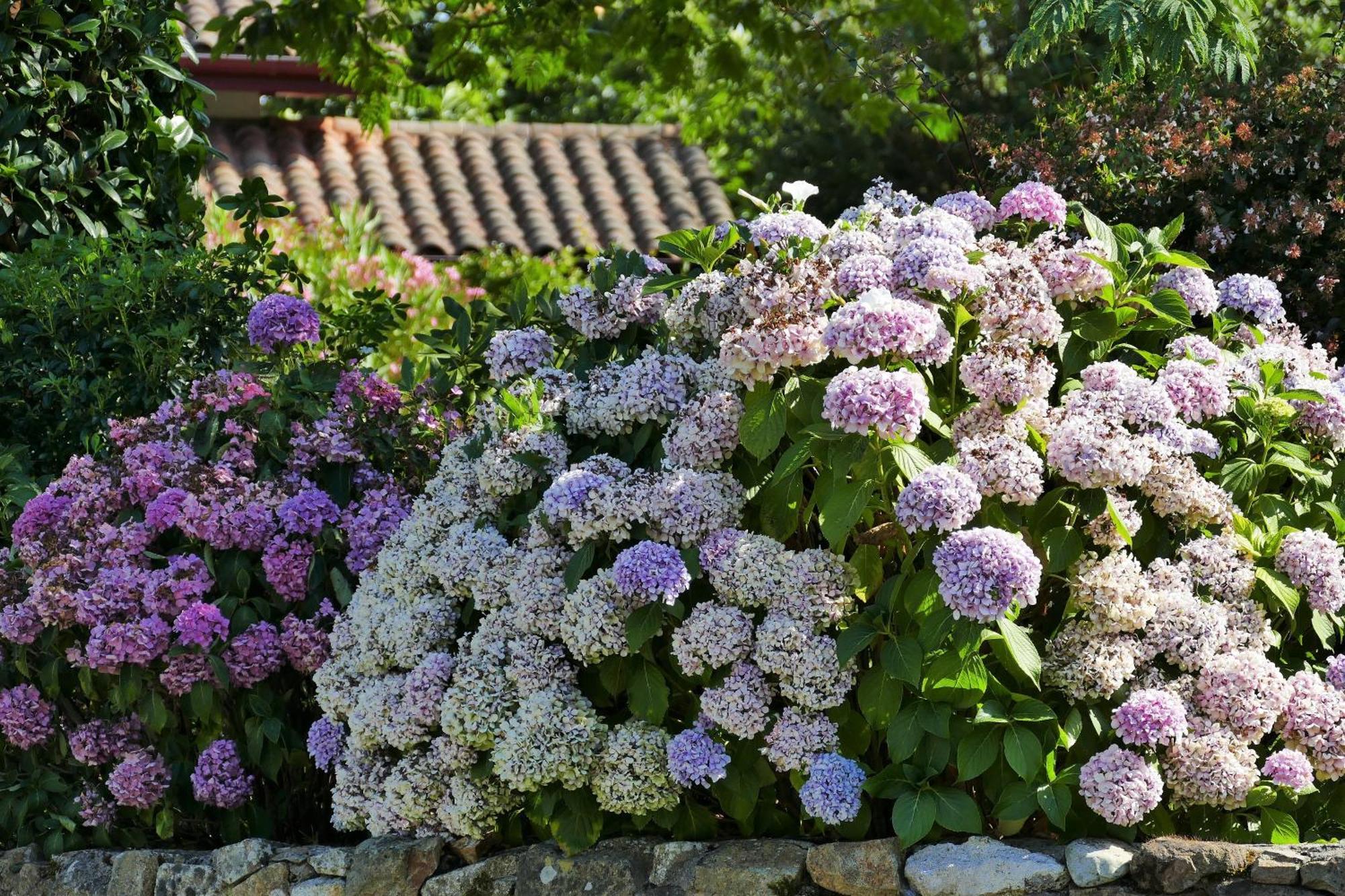 Baskoparadis I Eco-Gites I Calme I Vue I Anes I Jardin I Montagne I Nature Louhossoa Ngoại thất bức ảnh